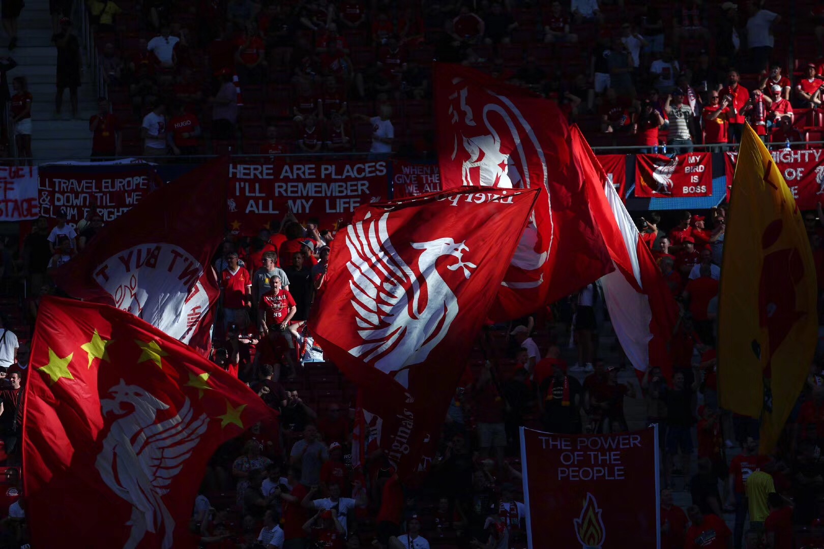 动带来超预 动带来超预